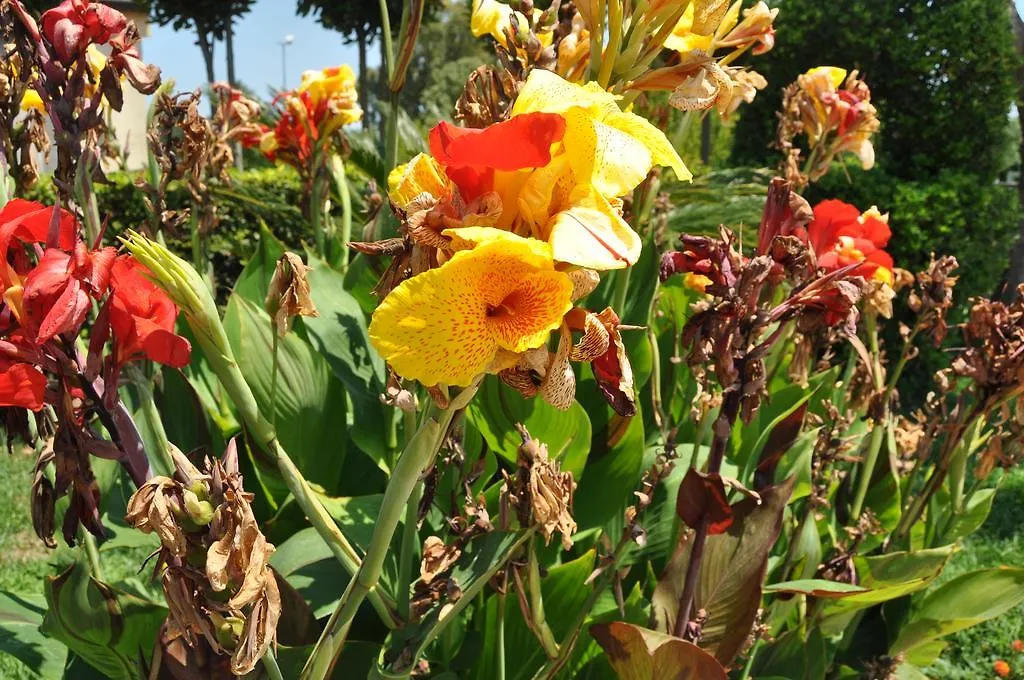Bed & Breakfast Bed&Breakfast Giardini Di Marzo Lecce